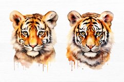 Cute Cartoon Tiger Watercolor Sublimation Clipart Product Image 3