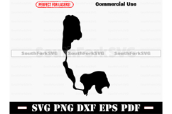 Cassadaga Lakes New York Map Silhouette SVG PNG DX EPS PDF Product Image 1