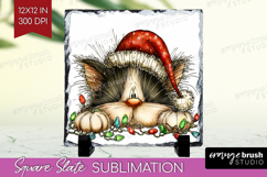 Cat Tangled In Christmas Lights Slate PNG Funny Xmas Square Product Image 1