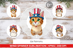 Wind Spinner Cat Patriotic Product Image 1