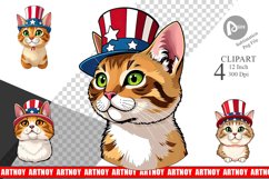 Cat Patriotic Clipart Product Image 1