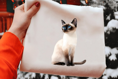 Cat Breeds Clipart Png Product Image 2