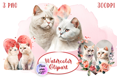 Lovely Cats | Watercolor Illustrations Product Image 1