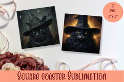 Funny Cat Coaster Sublimation| Cat Lover Coasters Product Image 1