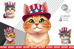 Cat Patriotic Clipart Product Image 1