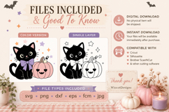 Cute Halloween Black Cat and Pumpkin SVG, Halloween Cat SVG Product Image 4