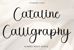 Cataline Calligraphy Product Image 1