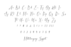 Catching Sunset Product Image 5