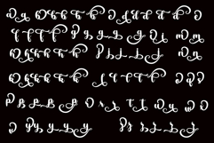 Catchy Lively Product Image 4