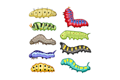 Colorful cartoon caterpillars graphic set illustrating insec Product Image 1