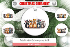 Cats Emotion Ornament Product Image 1