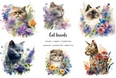 Watercolor cat breeds clipart. Cats with flowers clip art Product Image 4