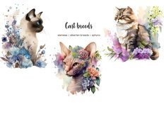 Watercolor cat breeds clipart. Cats with flowers clip art Product Image 5