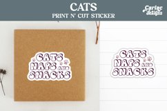 Cats Naps and Snacks