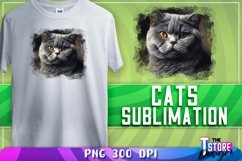 Cats Sublimation | Cat Sublimation PNG Design | Animals PNG Product Image 1