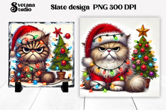 Funny Christmas cat slate PNG | Christmas animal sublimation Product Image 1