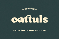 Cattuls Soft Groovy Retro Serif Font Product Image 1