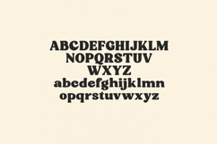 Cattuls Soft Groovy Retro Serif Font Product Image 8