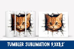 Cute cat tumbler sublimation wrap design PNG Product Image 1