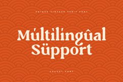 Caught - Unique Vintage Serif Font Product Image 17