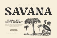 Caught - Unique Vintage Serif Font Product Image 6