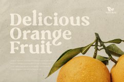 Caught - Unique Vintage Serif Font Product Image 7