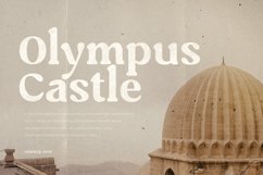 Caught - Unique Vintage Serif Font Product Image 9