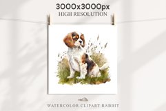 Cavalier King Charles Puppy Baby Dog Animals Clipart PNG Watercolor  Transparent Print for invitation t-shirt designs sublimation kids printable digital watercolor Baby dog png, Cavalier King Charles Animals clipart, sublimation clip art nursery