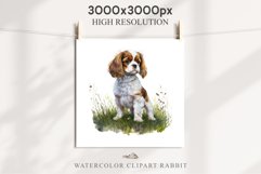 Cavalier King Charles Puppy Baby Dog Animals Clipart PNG Watercolor  Transparent Print for invitation t-shirt designs sublimation kids printable digital watercolor Baby dog png, Cavalier King Charles Animals clipart, sublimation clip art nursery