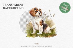 Cavalier King Charles Puppy Baby Dog Animals Clipart PNG Watercolor  Transparent Print for invitation t-shirt designs sublimation kids printable digital watercolor Baby dog png, Cavalier King Charles Animals clipart, sublimation clip art nursery