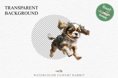 Cavalier King Charles Puppy Baby Dog Animals Clipart PNG Watercolor  Transparent Print for invitation t-shirt designs sublimation kids printable digital watercolor Baby dog png, Cavalier King Charles Animals clipart, sublimation clip art nursery