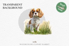 Cavalier King Charles Puppy Baby Dog Animals Clipart PNG Watercolor  Transparent Print for invitation t-shirt designs sublimation kids printable digital watercolor Baby dog png, Cavalier King Charles Animals clipart, sublimation clip art nursery