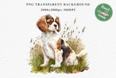 Cavalier King Charles Puppy Baby Dog Animals Clipart PNG Watercolor  Transparent Print for invitation t-shirt designs sublimation kids printable digital watercolor Baby dog png, Cavalier King Charles Animals clipart, sublimation clip art nursery