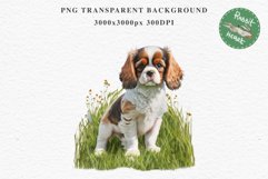 Cavalier King Charles Puppy Baby Dog Animals Clipart PNG Watercolor  Transparent Print for invitation t-shirt designs sublimation kids printable digital watercolor Baby dog png, Cavalier King Charles Animals clipart, sublimation clip art nursery