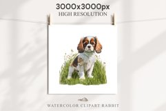 Cavalier King Charles Puppy Baby Dog Animals Clipart PNG Watercolor  Transparent Print for invitation t-shirt designs sublimation kids printable digital watercolor Baby dog png, Cavalier King Charles Animals clipart, sublimation clip art nursery