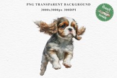 Cavalier King Charles Puppy Baby Dog Animals Clipart PNG Watercolor  Transparent Print for invitation t-shirt designs sublimation kids printable digital watercolor Baby dog png, Cavalier King Charles Animals clipart, sublimation clip art nursery