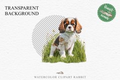 Cavalier King Charles Puppy Baby Dog Animals Clipart PNG Watercolor  Transparent Print for invitation t-shirt designs sublimation kids printable digital watercolor Baby dog png, Cavalier King Charles Animals clipart, sublimation clip art nursery