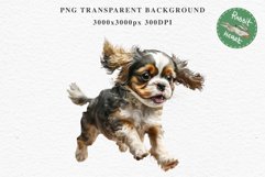 Cavalier King Charles Puppy Baby Dog Animals Clipart PNG Watercolor  Transparent Print for invitation t-shirt designs sublimation kids printable digital watercolor Baby dog png, Cavalier King Charles Animals clipart, sublimation clip art nursery