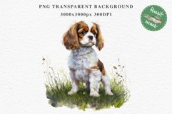 Cavalier King Charles Puppy Baby Dog Animals Clipart PNG Watercolor  Transparent Print for invitation t-shirt designs sublimation kids printable digital watercolor Baby dog png, Cavalier King Charles Animals clipart, sublimation clip art nursery