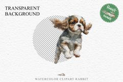 Cavalier King Charles Puppy Baby Dog Animals Clipart PNG Watercolor  Transparent Print for invitation t-shirt designs sublimation kids printable digital watercolor Baby dog png, Cavalier King Charles Animals clipart, sublimation clip art nursery