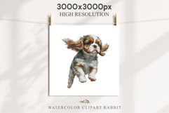 Cavalier King Charles Puppy Baby Dog Animals Clipart PNG Watercolor  Transparent Print for invitation t-shirt designs sublimation kids printable digital watercolor Baby dog png, Cavalier King Charles Animals clipart, sublimation clip art nursery