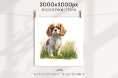 Cavalier King Charles Puppy Baby Dog Animals Clipart PNG Watercolor  Transparent Print for invitation t-shirt designs sublimation kids printable digital watercolor Baby dog png, Cavalier King Charles Animals clipart, sublimation clip art nursery