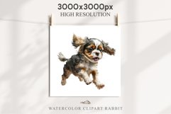 Cavalier King Charles Puppy Baby Dog Animals Clipart PNG Watercolor  Transparent Print for invitation t-shirt designs sublimation kids printable digital watercolor Baby dog png, Cavalier King Charles Animals clipart, sublimation clip art nursery