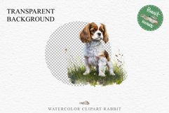 Cavalier King Charles Puppy Baby Dog Animals Clipart PNG Watercolor  Transparent Print for invitation t-shirt designs sublimation kids printable digital watercolor Baby dog png, Cavalier King Charles Animals clipart, sublimation clip art nursery