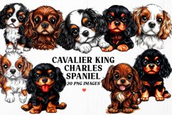 Cavalier King Charles Spaniel Clipart Bundle | 20 PNG Dogs Product Image 1