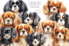 Cavalier dogs Product Image 1
