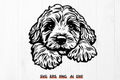 Cavapoo SVG, Cute Cavapoo Puppy Cut File, Doodle Dog Clipart Product Image 1