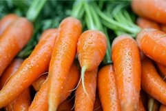 Vibrant closeup of fresh carrots with dewdrops, highlighting Product Image 1