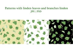 Linden blossom Product Image 9