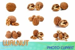Walnut photo clipart Product Image 1